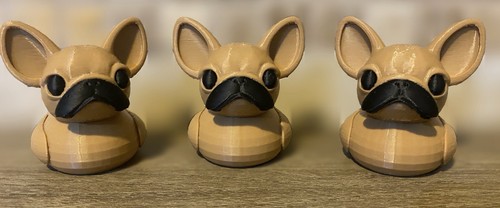Bulldog francese anatra - bulldog,