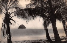 DOM-TOM-MARTINIQUE LE