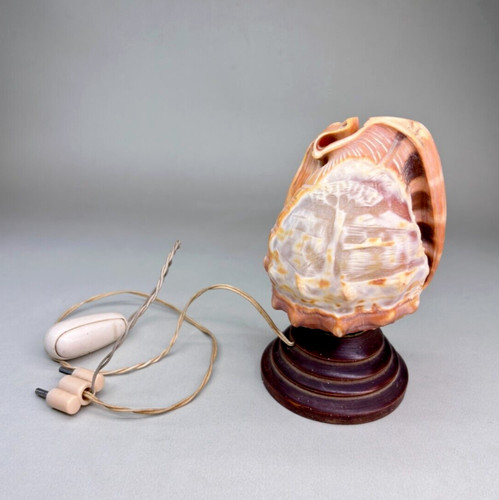 Antica lampada cammeo - lampada,