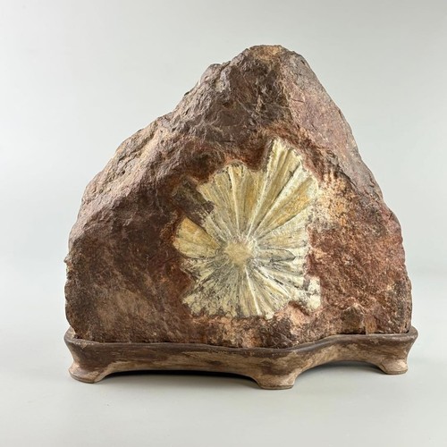 Pietra kikka suiseki - pietra,