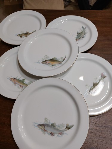 Piatti pesce in - piatti, da