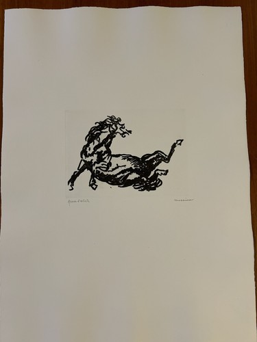 Francesco messina cavallo - francesco,