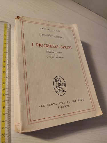 Promessi sposi commento - i,