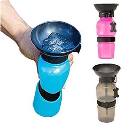 Acqua dog cane - cane, gatto