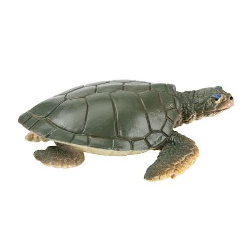 Toymany ml00202 kemp ridley - kemp's,