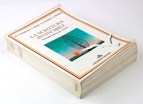 Scrittura invincibile - scrittura,