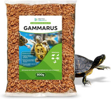 Cibo tartaruga acquatico