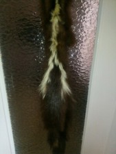 Sciarpa In vero Visone