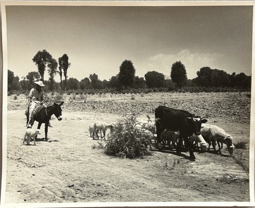 Messico berger viaggio c1955 - berger,