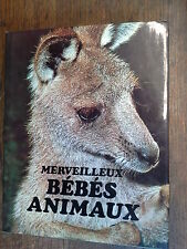 Meravigliosi Cuccioli Di