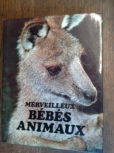 Meravigliosi cuccioli - cuccioli, di