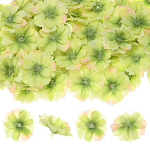 50pz teste fiori testa - testa, di