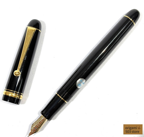 Penna stilografica pilot - stilografica,