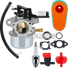 Carburetor for Briggs &