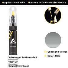 Vernice di ritocco per