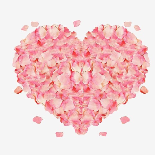 1500 pezzi petali rosa - pezzi,