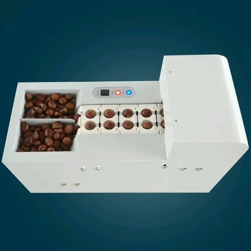 Apritrice elettrica guscio - apritrice,