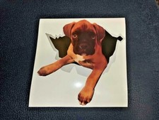 adesivo cane BOXER per vetri