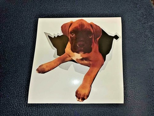 Adesivo cane boxer - per, vetri