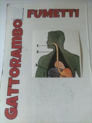 Figurine didattiche conoscere - didattiche,