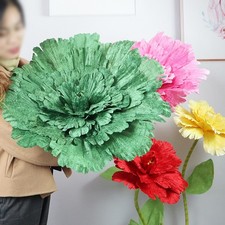 Squisita Testa di Peonia Fiore