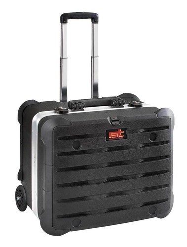 Line rock turtle - gt,