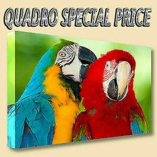QUADRI MODERNI TELA 30X50 ANIMALI PAPPAGALLI ARA PARLANTE COLORATI NATURA