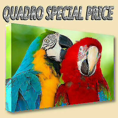 Quadri moderni tela - quadri,