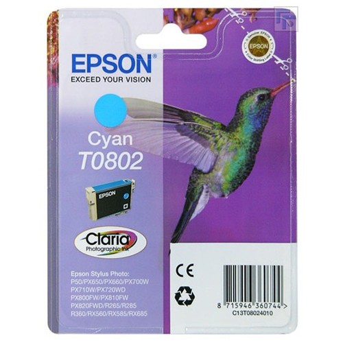 Foto stilo colibrì ciano