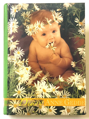 Anne geddes diario scuola - anne,