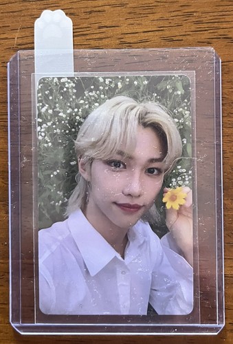 Stray kids photocard noeasy - stray,