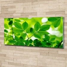 Glass Print Wall Art Image