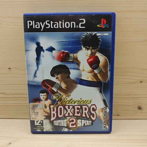 Victorious boxers fighting - boxers,