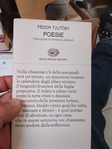 Poesie fedor tjutcev 1964 - tjutcev,