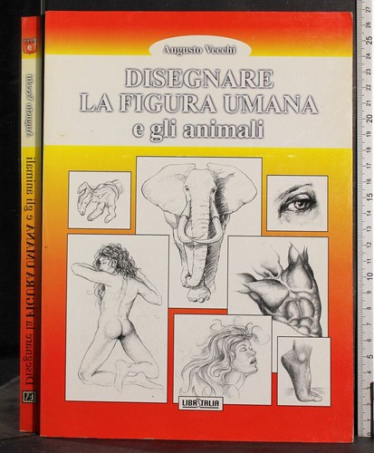 Disegnare figura umana e - disegnare,