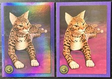 Ashera Cat #26 Holo Foil