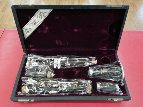 Clarinetto professionale