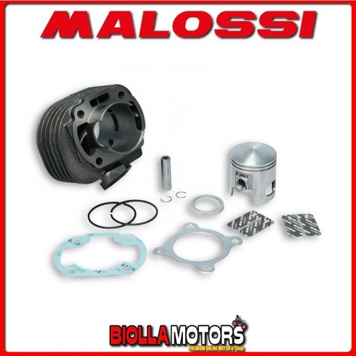317002 gruppo termico malossi - termico,