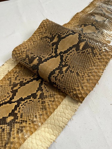 Vera pelle serpente pelli - vera,