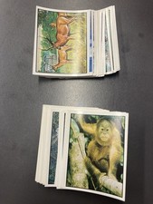 Lotto 84 Figurine WWF Anni 80 1986 Nuove Tutte Diverse 