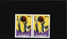 GRANDE PALLA DA BASKET BIANCA IN COPPIA CON NORMALE