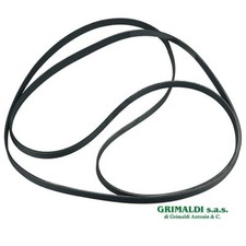 Cinghia elastica righi - elastica, 7