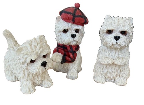 West highland terriers white - highland,