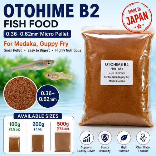 Otohime cibo per - b2,