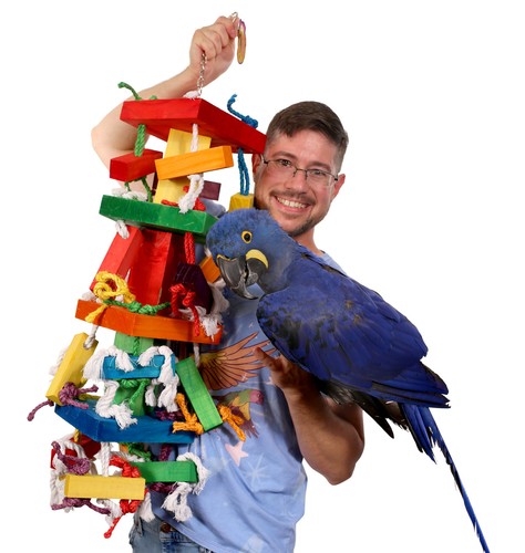 Tropical stack xxl pappagallo - stack,