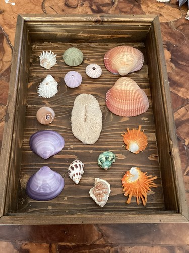 Teca shadow box artigianale