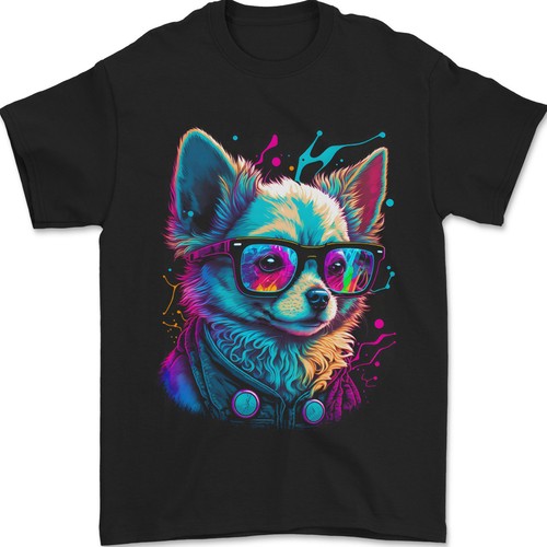 Una carina chihuahua - chihuahua, con