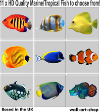 ADESIVI PIASTRELLE PESCI MARINI FULL COLOR - Impermeabili - vetro/ceramica/pareti/metallo