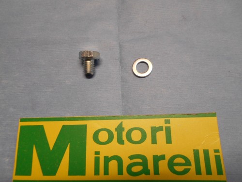 Vite scarico olio minarelli - vite,
