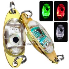 5 pezzi luci LED pesca esca subacquea basso walleye luce flash mare profondo